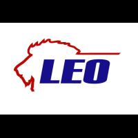 Navigate to LEO CH 21